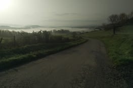 La campagne basque dans la brume au petit matin ☁️