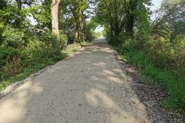 Verdure toute la matinée