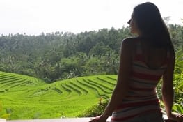 La vue depuis notre logement