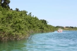 Petite journée tranquille