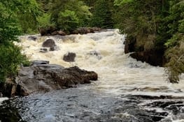 Parc du Mont-Tremblant