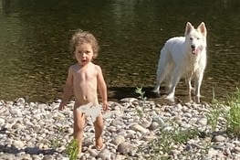 Promenons nous dans les bois pendant que le loup n’y est pas