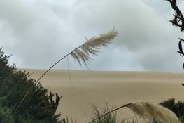 Te Paki et ses dunes de sable