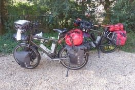 Nos montures à l’ombre