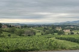 Vignobles Beaujolais