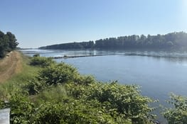 Le Rhin à Seltz