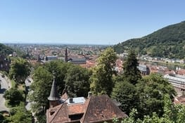Vue du château , on devine le Nekar au loin .