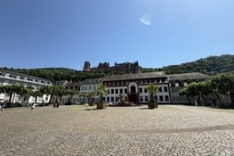 Vue sur le château .
