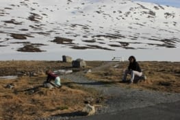 Toujours les petits "rien"