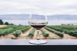 oenologie et dégustation de produits locaux