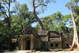 Ta Prohm