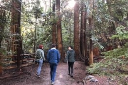 Pacific Spirit Regional Park