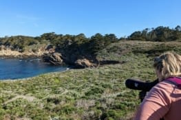 Patricia observant les loutres de mer grâce à la longue vue du Ranger