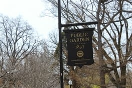 the boston common, my favorite place !