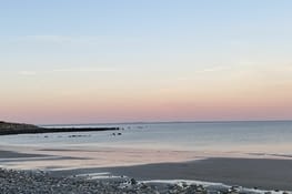 Ice cream before diner