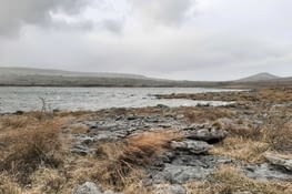 Du plat pour débuter... ca ne va pas durer !