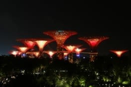 Garden by the bay by night