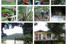 Etape 1 : Treck 2 jours et 1 nuit dans la jungle de Taman Negara