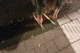 Leonie désamorce la situation et le piège une secondes avant que j'y pose le pied.