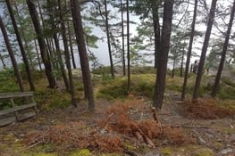 Avec un escalier descendant...