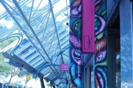 Street Art dans le quartier de Petite Italie