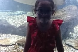 Visite de l'aquarium