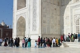 Ne sont-ils pas mignons avec leurs sur-chaussures ?