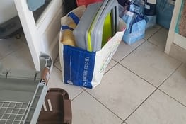 Tout ça pour les chats !