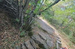 Camping à la ferme chez Ophélia