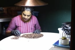 Tri des grains de café