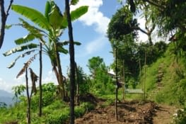 Les jardins de Nalma