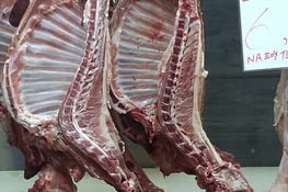 Drôle de découpe d agneau,...