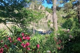 Piscine natuelle