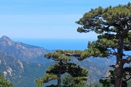 Vue du haut du col