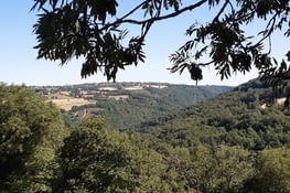 Paysage
