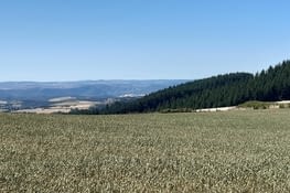 Paysage