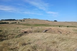 Plateau d Aubrac