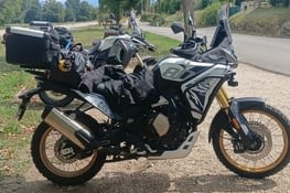 les bêtes harnachées