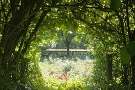 Percée dans le monde des fées