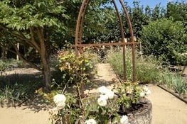 Au centre des chartreuses