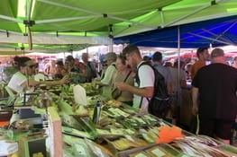 Marché de St Gilles