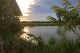 Balade à vélo et coucher de soleil avant le dîner !