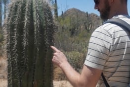 Qui s'y frotte s'y pique