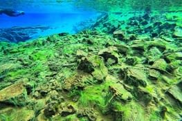 Photo non retouchée !