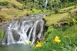 Se succèdent. Un vrai petit paradis