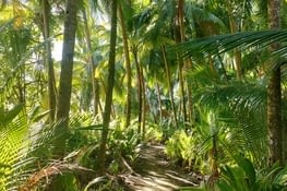 Sentier Parc Ballena