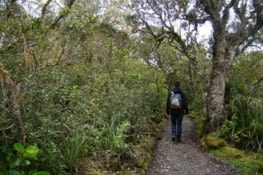 En route pour l'ascension !