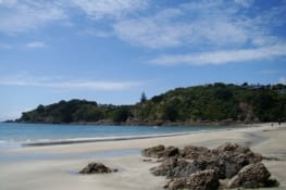 Plage - Waiheke Island