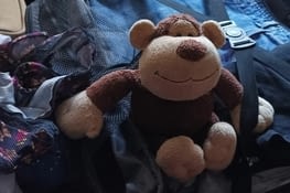 Picodon est prêt lui aussi.