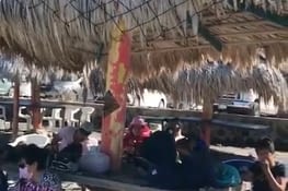 Cherchant à manger....